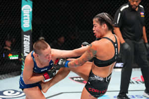 M M A Fighter Delivering Kick During Match Wallpaper