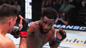 M M A Fighter Geoff Nealin Action Wallpaper