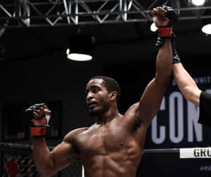 M M A Fighter Victory Celebration Wallpaper