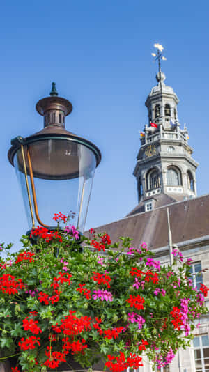 Maastricht Town Hall Towerand Street Lamp Wallpaper