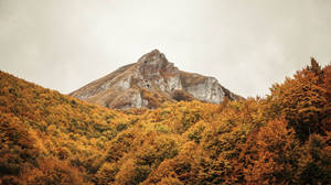 Macedonia Autumn Trees Wallpaper