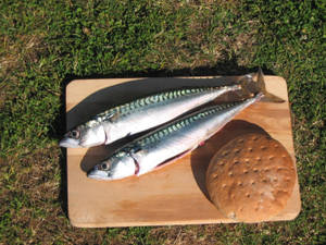 Mackerel Fish With Bread Wallpaper