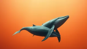 Macos Tahoe Whale Animation Wallpaper
