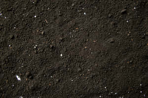 Macro Shot Of Soil Wallpaper