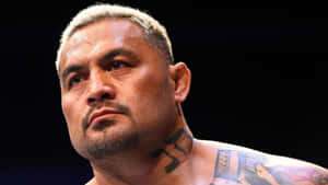 Mad Mark Hunt Staring Wallpaper