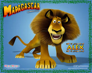 Madagascar Alex Confused Face Wallpaper