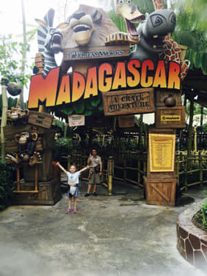 Madagascar Attraction Universal Studios Singapore Wallpaper