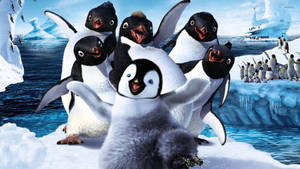 Madagascar Penguins - Wallpapers Wallpaper