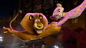 Madagascar3 Alexand Gia Flying Act Wallpaper