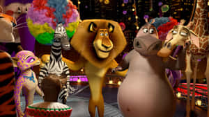 Madagascar3 Circus Animals Celebration Wallpaper