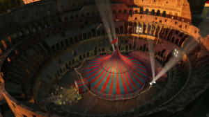 Madagascar3 Circusin Colosseum Wallpaper