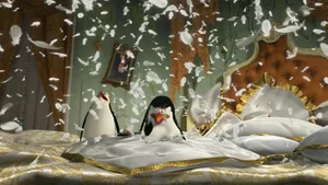 Madagascar3 Penguins Feather Explosion Wallpaper