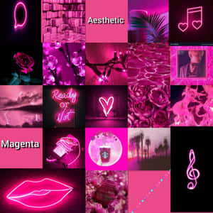 Magenta Aesthetic Collage Wallpaper