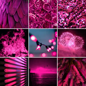 Magenta_ Collage_ Aesthetic Wallpaper