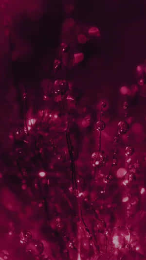 Magenta Dreamscape Abstract.jpg Wallpaper