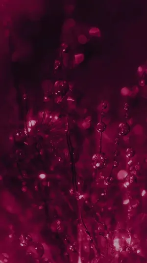 Magenta Dreamscape Abstract.jpg Wallpaper