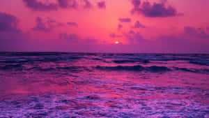 Magenta Seascape Sunset Wallpaper