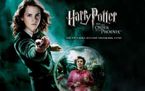 Magical Adventures Await With The Order Of Phoenix Wallpaper