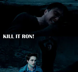 Magical Fun With Harry Potter Wallpaper