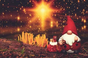 Magical Gnome Starry Night Wallpaper