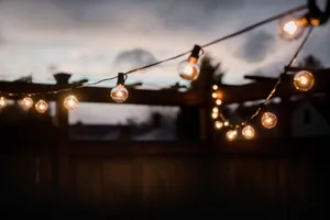 Magical Spring Lights In Nature Wallpaper