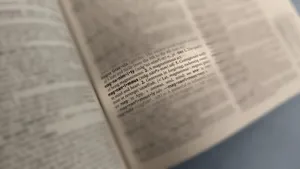 Magnanimous Meaning In Dictionary Wallpaper