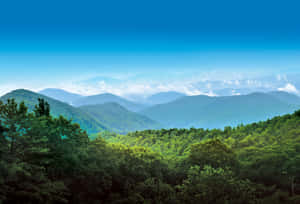 Magnificent Blue Ridge Mountains In Virginia Wallpaper