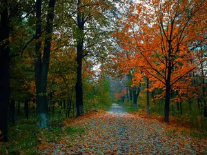 Magnificent Mountain Sunrise Wallpaper