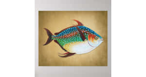 Magnificent Opah Fish Swimming In The Depths Of The Ocean. Wallpaper