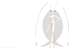 Magnificent Pheromosa Illustration On A White Background Wallpaper