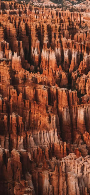 Magnificent Red Spires At Bryce Canyon National Park Wallpaper