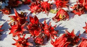 Magnificent Waterfall On A Tropical Island Wallpaper