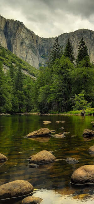 Magnificent Yosemite Portrait Photography Wallpaper