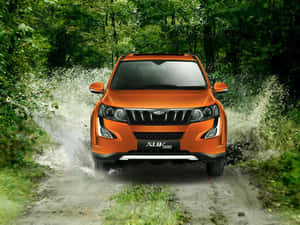 Mahindra Showroom Featuring Elegant Cars Wallpaper