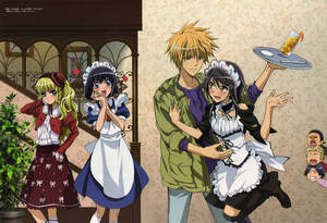 Maid Sama Maid Latte Café Wallpaper