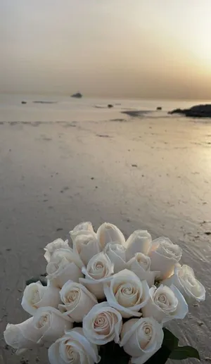 Majestic Aesthetic Of A White Rose Wallpaper