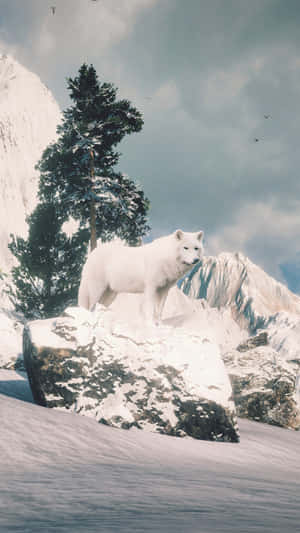 Majestic Arctic Wolf In A Snowy Landscape Wallpaper