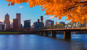 Majestic Autumn In Portland Wallpaper