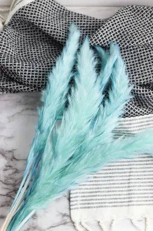 Majestic Beauty Of Blue Grass Fields Wallpaper