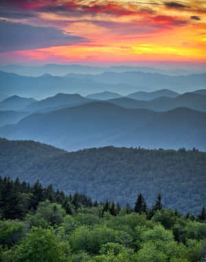 Majestic Blue Mountains Scenery Wallpaper