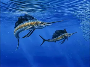 Majestic Blue Sailfish In Deep Ocean Wallpaper