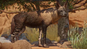 Majestic Brown Hyena Strolling Through The Wilderness Wallpaper