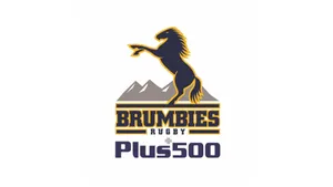 Majestic Brumbies Galloping Across The Field Wallpaper