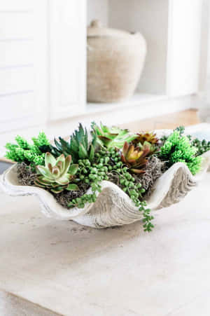 Majestic Clam Shell On The Beach Wallpaper