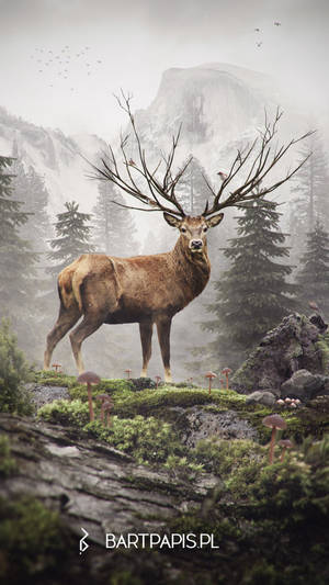 Majestic Deer In A Forest Setting Wallpaper