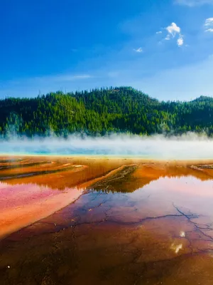 Majestic Eruption Of Yellowstone Geysers Wallpaper