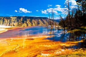 Majestic Eruption Of Yellowstone Geysers Wallpaper