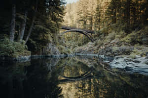 Majestic Fall Bridge Over Serene River Wallpaper