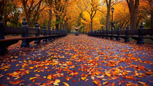 Majestic Fall City Landscape Wallpaper