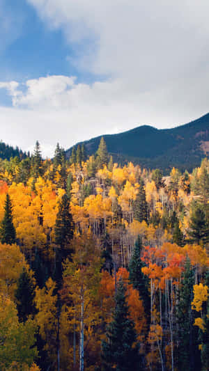 Majestic Fall Mountains - Vibrant Autumn Colors Wallpaper